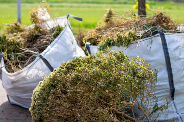 Best Full-Service Junk Removal  in South Greeley, WY
